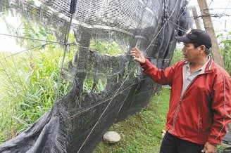 �_�|�r���⡰������Ɖ������С��ܳ��]��