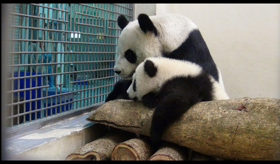 ٛ(z��ng)�_(t��i)��؈�A���򋌋��u���w�䱧���Ȳ��ţ��D��