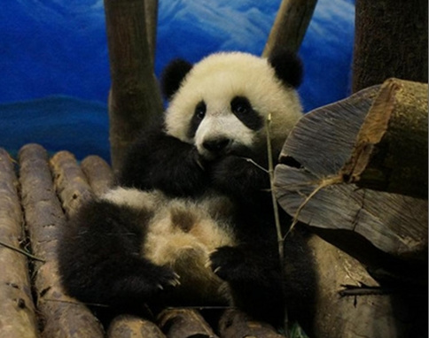 ���A�С��w�zŤ��Ťȥ�����T�W�ܼ�����צ���D��