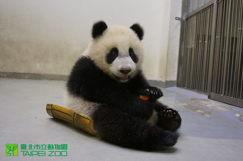 �_������؈���A�С��������ʂ��M܊����չ�����D��