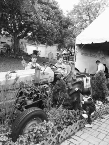 �l�����e�Σ��҂����_�����޽ӡ�ʲô���D��