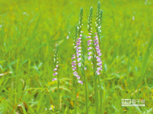 �_���P�ɹ��@��ϡ�R���_���@�������οͲ�����