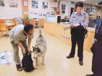 �ɟṷ�����~��̫���ʿ��ه�̵겻�ߣ��D��