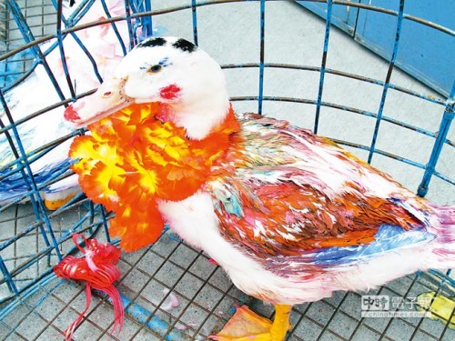 �_(t��i)�������e�k����x���������ݝ�y�GĨ���D��