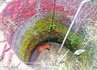 ���硰ؑ�ӡ�С�S���ɱ����ĵؿݾ��������D��