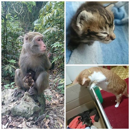 �_(t��i)���J���͵С؈ý�w���ķQϵ���۷��E���D��