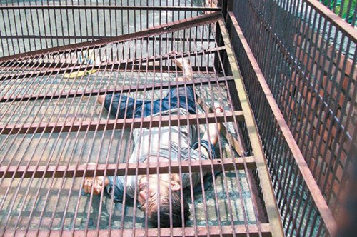 ���������±��F�|���\�����ԷQ�����c��������