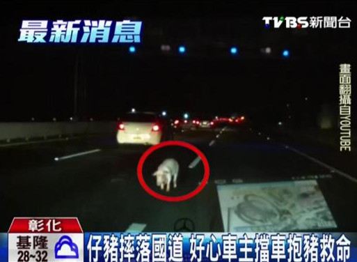 ���iˤ����ٹ�· ����܇����܇���i����