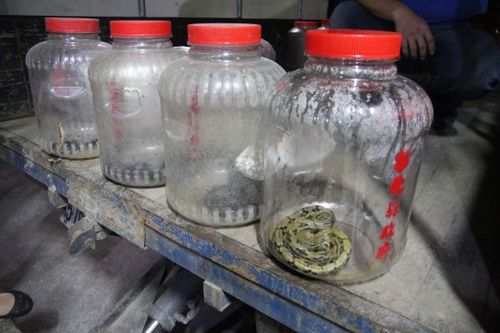 ������д������������ǐ��������D��