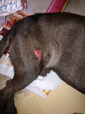 �_�����A��W�ҬFŰ���¼��W��ʹ���µتz