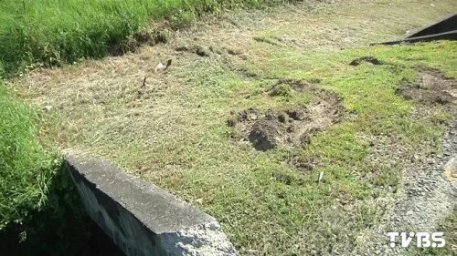 ����������y�� ���o(h��)܇���˷�����