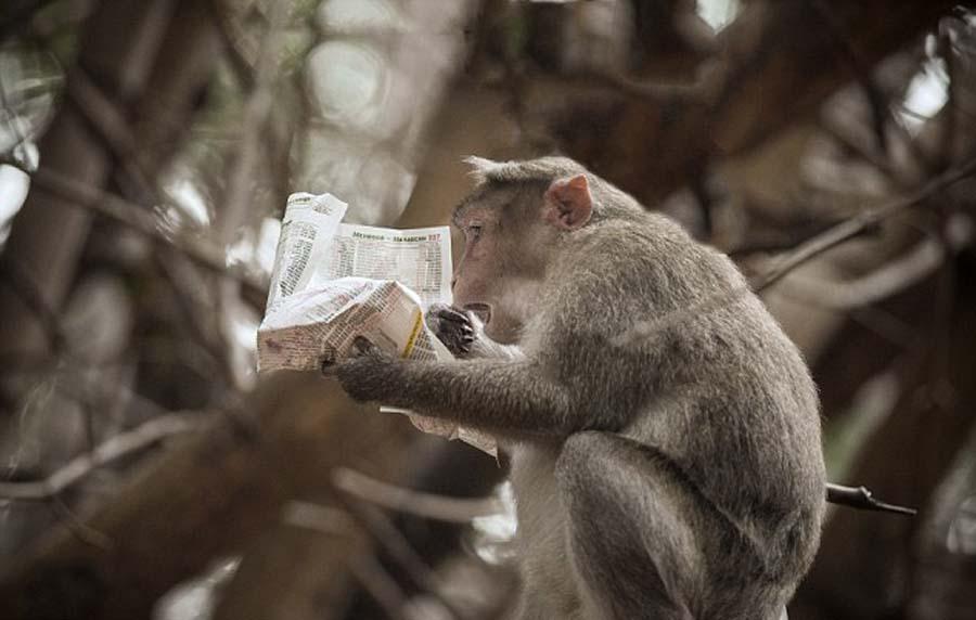 ӡ��J�����Ϳ��� ��x�������