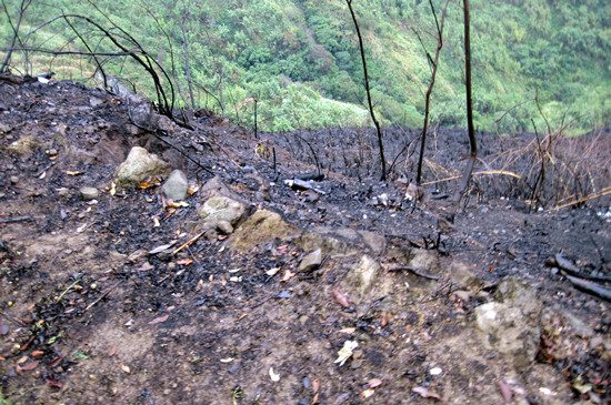 ����ɽ�ӟ�5��해��Ϩ��F���ɽ������D��