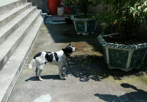 ����Ů��܇��������С������ǰ����2����ɳ���̽��