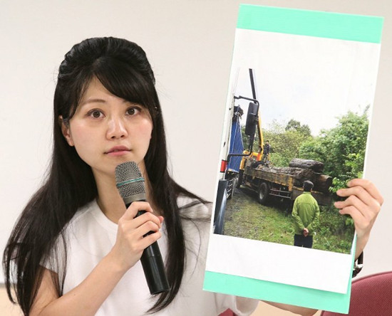 臺(tái)北美女議員被指像古代人變發(fā)型引網(wǎng)友熱議