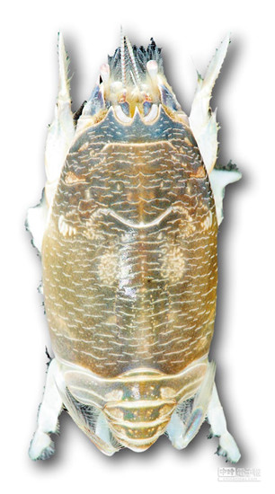 �_���l(f��)�F(xi��n)����N���_�����sз�����D��