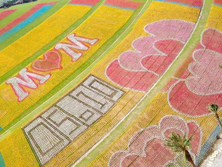 ��ӭ��ĸ�H����λ�ڻ�¡�ē����Ą��@�^����12�f֧�L܇ƴ�ɾ޷�����ܰ�ؾ�