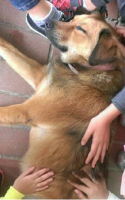 ���˹�׃УȮ���Wͯ ��У���ɺ���(�D)