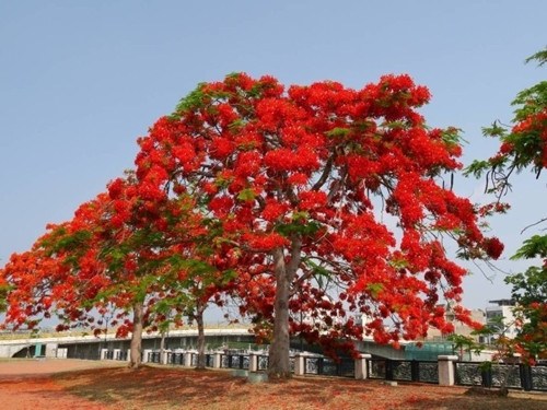 �_�ϻ��_�M�� �P�˻��������ՠ��ข�G(�D)