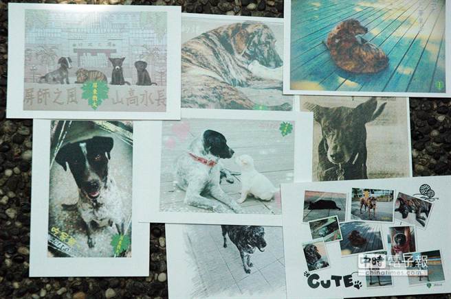 �_���|��W������湷������Ƭ ��У��ļ�������