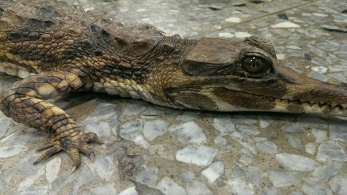 ��������l�F��������܇��һ�վ��ǡ��{�~�����D��