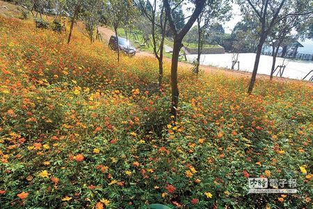 �ĵ�׃������Ͷ����ɽ����W�W���������D��