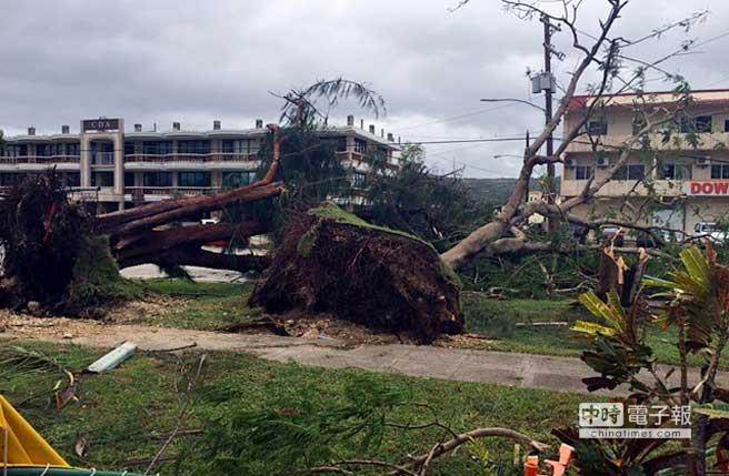 大樹都被連根拔起。(臺媒翻拍美聯(lián)社) 大樹都被連根拔起。(臺媒翻拍美聯(lián)社)
