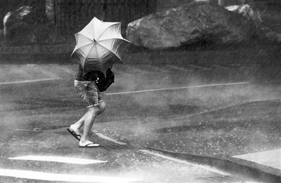 “蘇迪羅”狂暴過(guò)境重創(chuàng)臺(tái)灣經(jīng)濟(jì)損失驚人