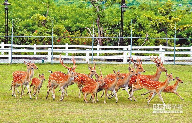 �㴺÷��¹�����гɅs���������g�������һ�ɽY����