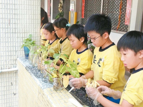 臺北市嚴防登革熱288所學校環境大掃除(圖)