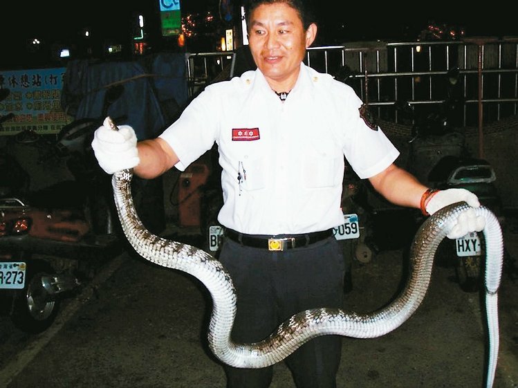 ��p�p�����ˆT�I��ؓ�����҈@19�ճ���ȫ�_��֧�o�����o������׽�ߣ�������ꠣ��D�������ˆT׽�ߵ����Ρ������ψ󡷈D��