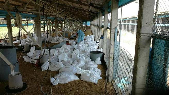 �_���û����u�Ƕ��ȸ�Ⱦ������ 2�f���u��䚢