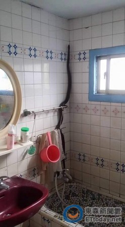 ���ߞ��׷�����bɏ���^ �W(w��ng)�ѣ�һ�Y�ݲ���ϴ��