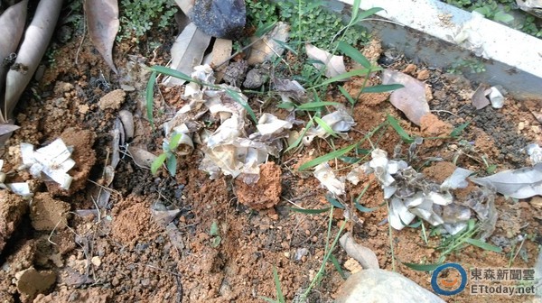 ���ߞ��׷�����bɏ���^ �W(w��ng)�ѣ�һ�Y�ݲ���ϴ��