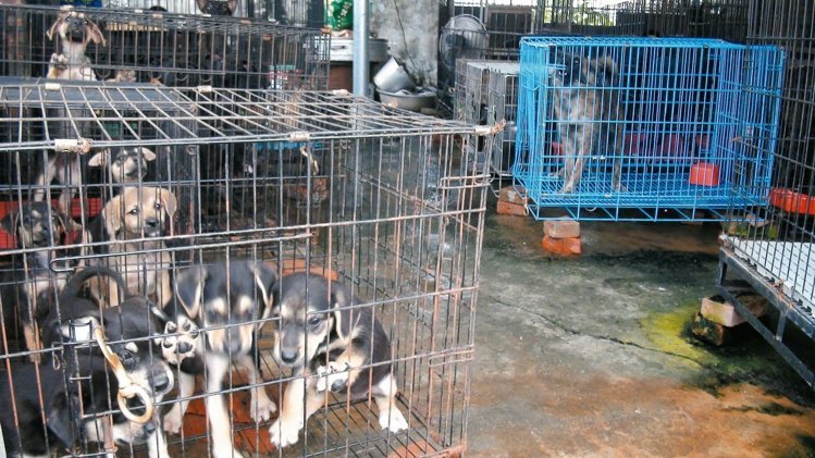 ���@��һ�C��������С�������������|���֋������@������֮�����з�ֳ֮���������@���˷��J��