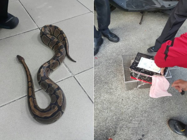 ������Ь���b���߷ű�����լ�� ���߸Z���^��ɵ��T