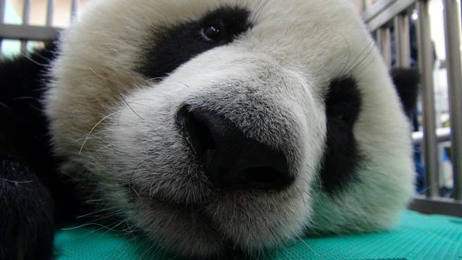 ���A�С��w�z�`����^��Ŀǰ������ų������o�K�����D/���Еr(sh��)��ӈ�(b��o)����