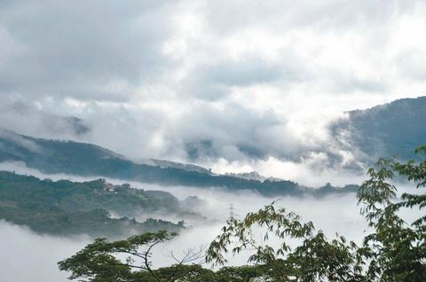 臺南大凍山云海現蹤游客宛如置身仙境(圖)