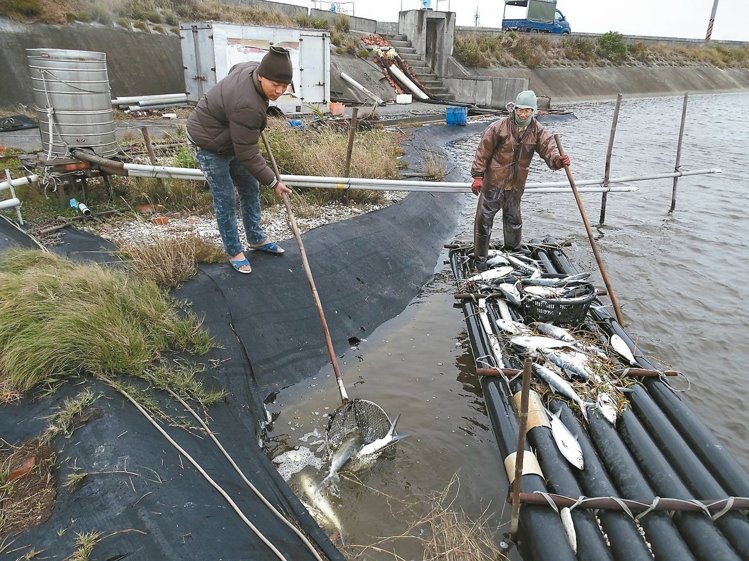 �������u�_�Bֳ�I���؄� �I�ߓpʧ�ֳ�ǧ�f(�D)