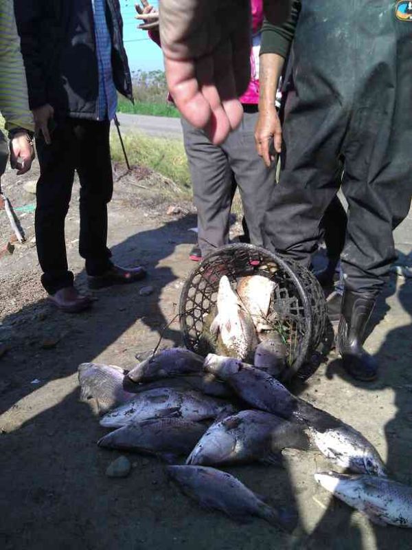 ����"����"�O�� �Bֳ�߲��҆��rֻ���~������