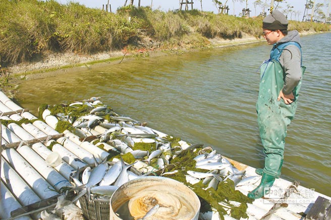 �_�����r(n��ng)�p7.7�|��11��ӛ� �B(y��ng)ֳ�I(y��)��K�˃r�͝q