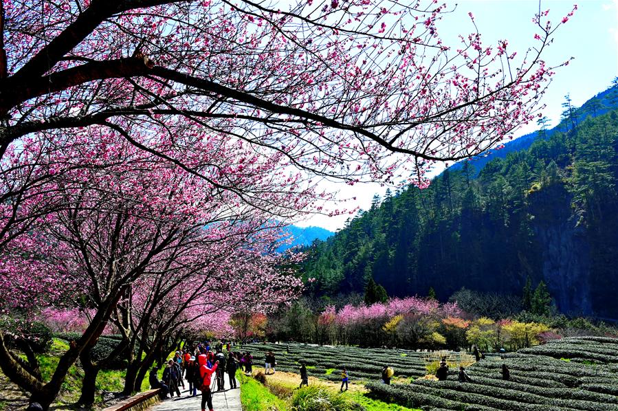 �����B����1���_�������p�ѻ�