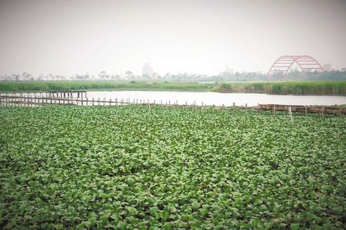 �������ӽM�F���~͵�B�����m 52�ם��׃����������