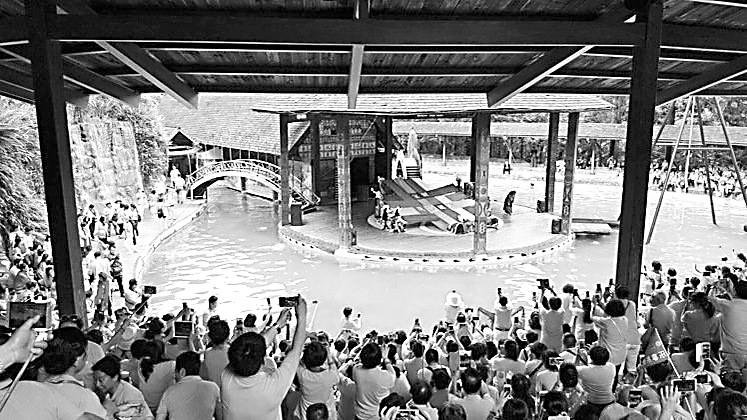 9日,超大陸客團抵達臺灣后展開旅游行程。 9日,超大陸客團抵達臺灣后展開旅游行程。