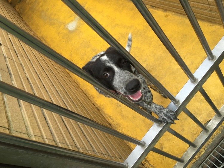 ��䚢���߼�����·�����^�����˹���ԴԴ���^�����\���ŵ��������ę����Ĺ����ȴ��Ҽҡ����DƬ��Դ���_�����ψ󡷣�