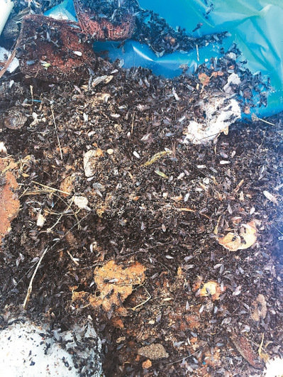 ��Ͷ�h�����l(xi��ng)���������׳�С��ρ�����DƬ��Դ���_����(li��n)�ψ󡷣�