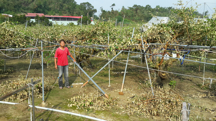 �����ೲ���r�K����17��һ�絽���@�쿴�ēp�����ҾW�ӱ����L���ߣ��W�ܺ͗���ȫ��A�������I�������޹��@���X���п��B��