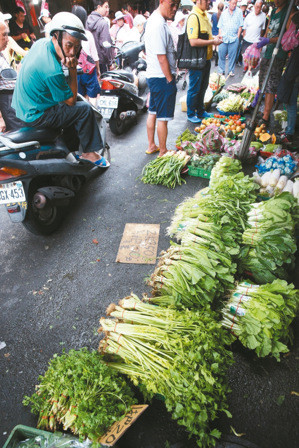 ���_�L���u�u�Ȳ˃r���q �S��ÿ�����j165���_��