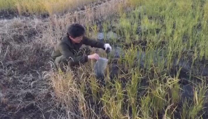 �_����F(tu��n)���ձ����y����Ⱦֵ ǧ�~�h����F(xi��n)�C-137