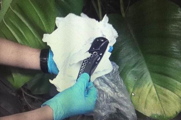 �_��܊������ʿ��潣���r�XδՄ���Ѓ�����